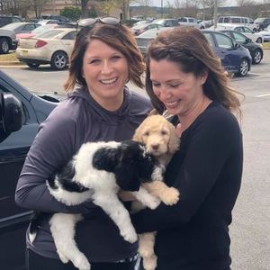 Meet your Posher, Kimberly